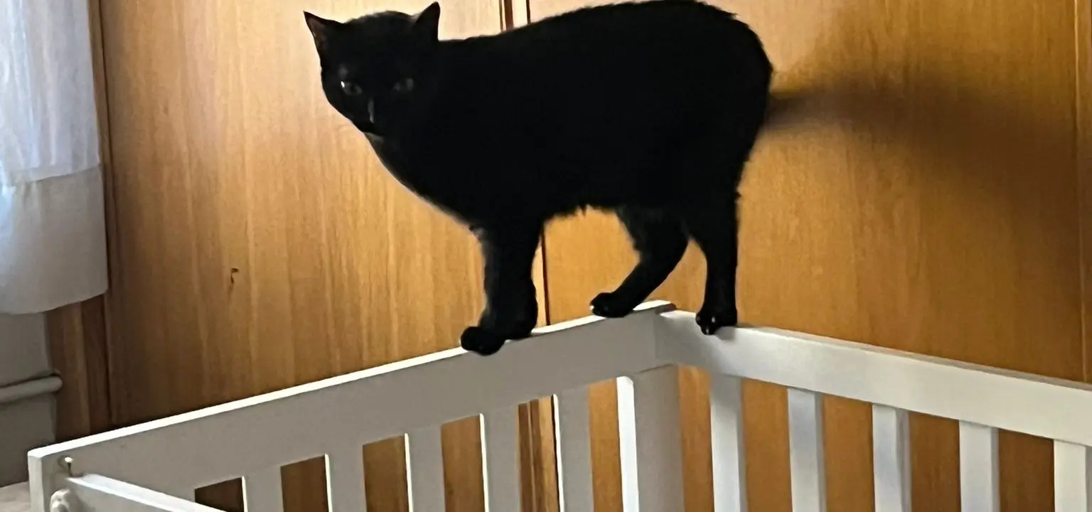 Vitalii test